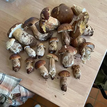 Petit Dejeuner Inclus A Dix Minutes Du Lac De La Raviege *